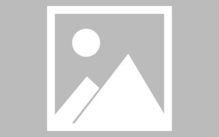 福建秋叶高清素材下载网站（秋叶视频素材）